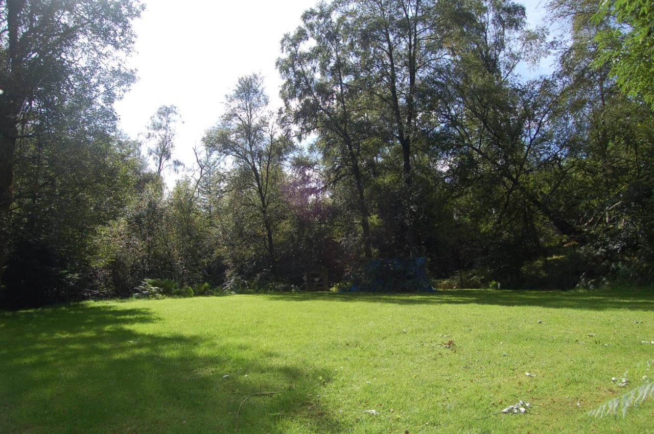 Woodland Pine Lodge