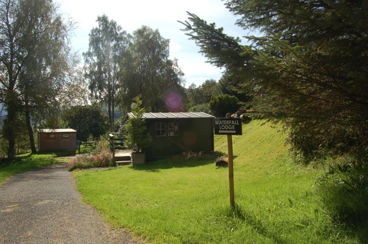 Lodge Woodland Pine *