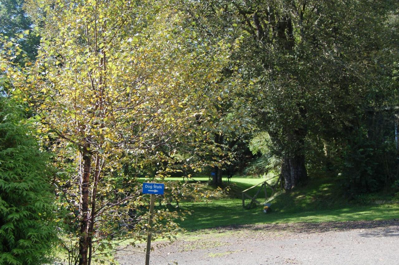 Woodland Pine Lodge
