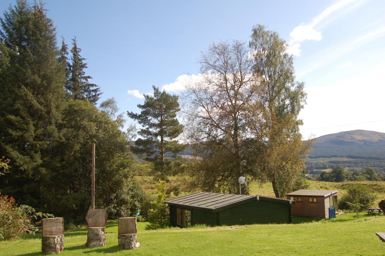 Lodge Woodland Pine